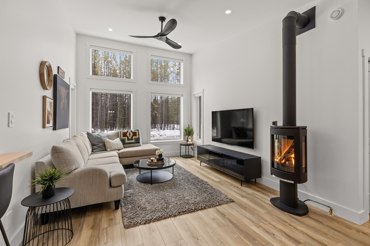 Contemporary Standing Fireplace and Media Lounge